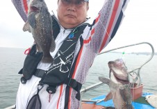 7/3 광어 우럭 …