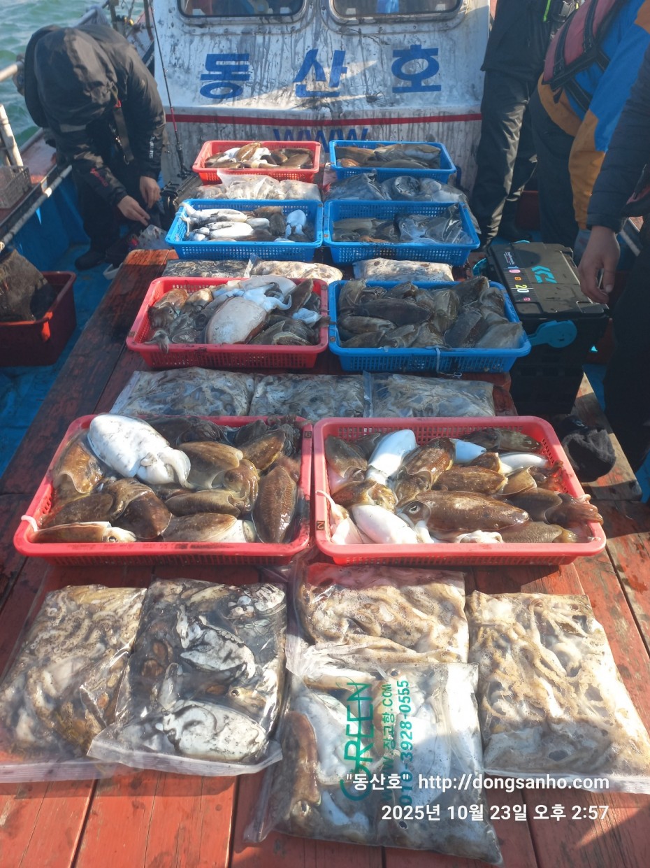 2b5fc026377d1b89d7da918e49d58af9_1761241