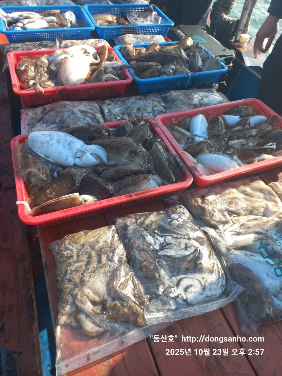 2b5fc026377d1b89d7da918e49d58af9_1761241