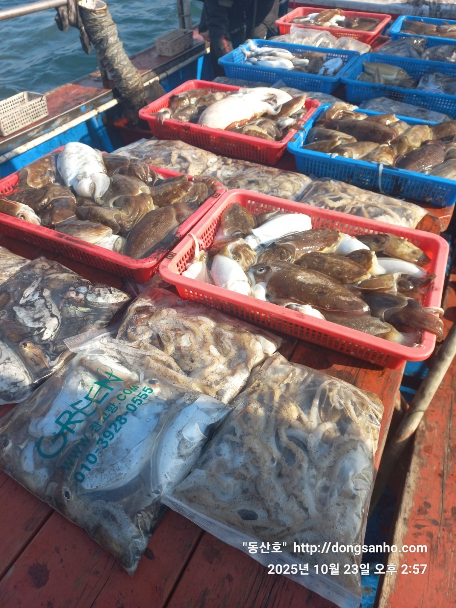 2b5fc026377d1b89d7da918e49d58af9_1761241