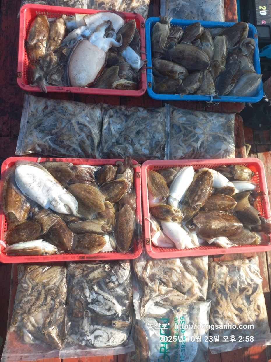 2b5fc026377d1b89d7da918e49d58af9_1761241