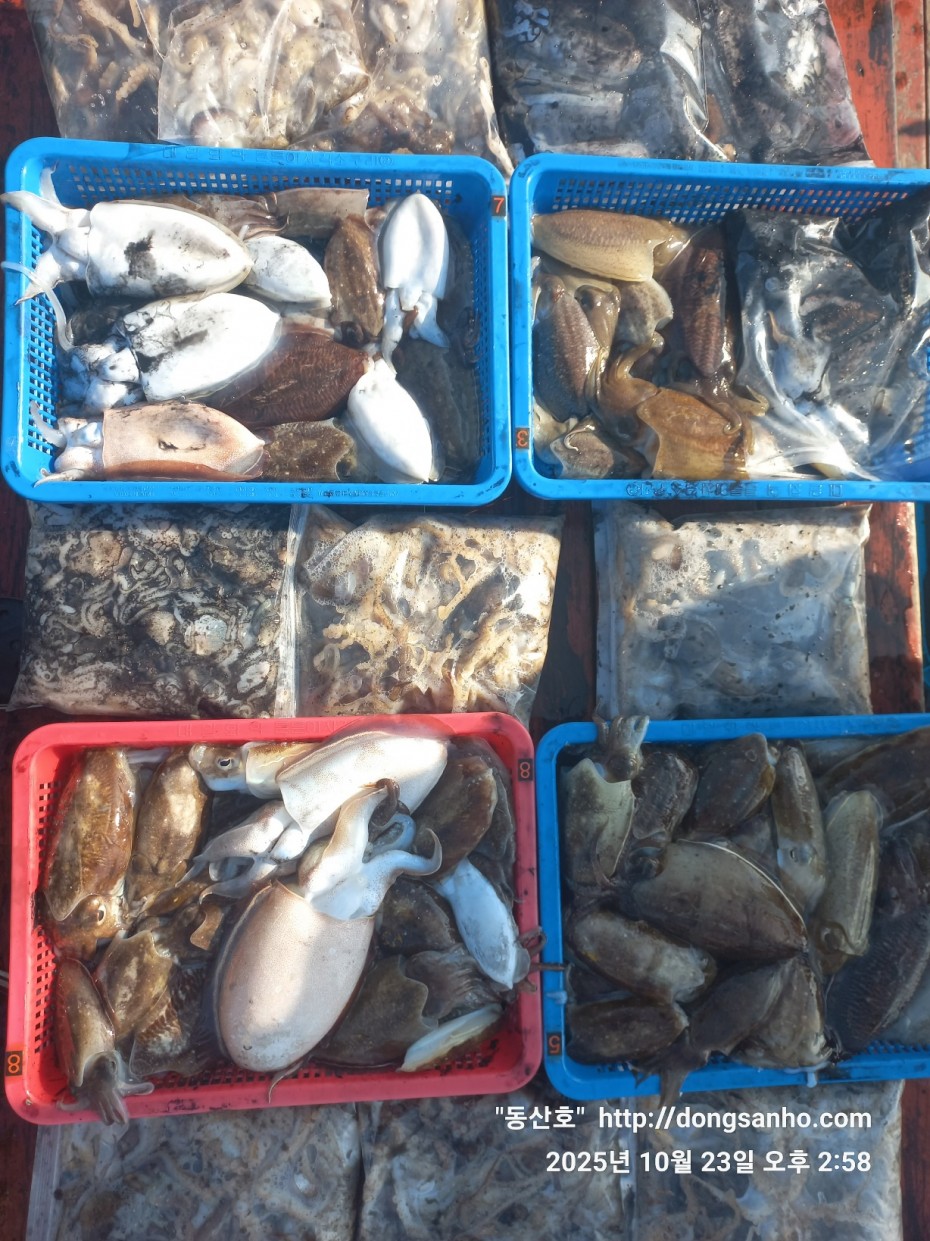 2b5fc026377d1b89d7da918e49d58af9_1761241