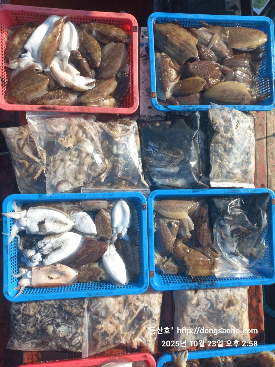 2b5fc026377d1b89d7da918e49d58af9_1761241