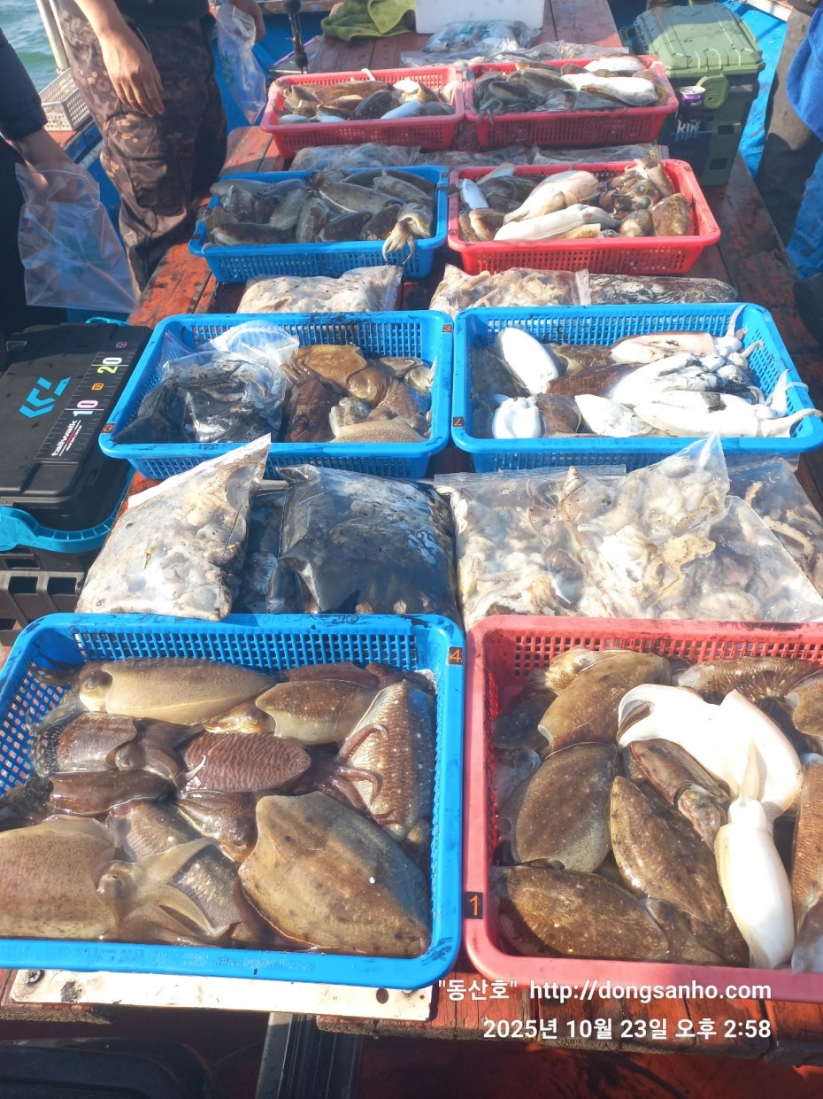 2b5fc026377d1b89d7da918e49d58af9_1761241