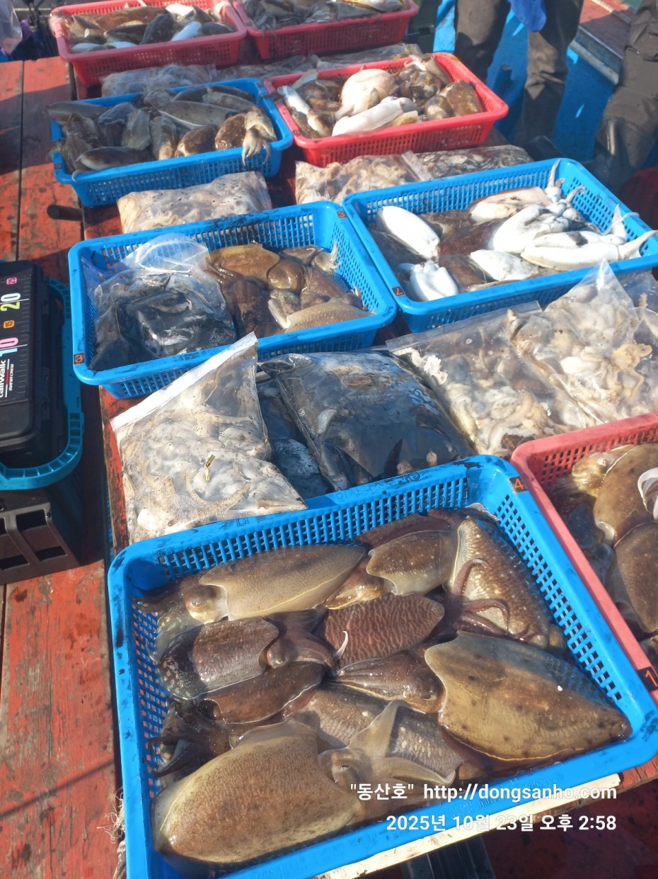 2b5fc026377d1b89d7da918e49d58af9_1761241