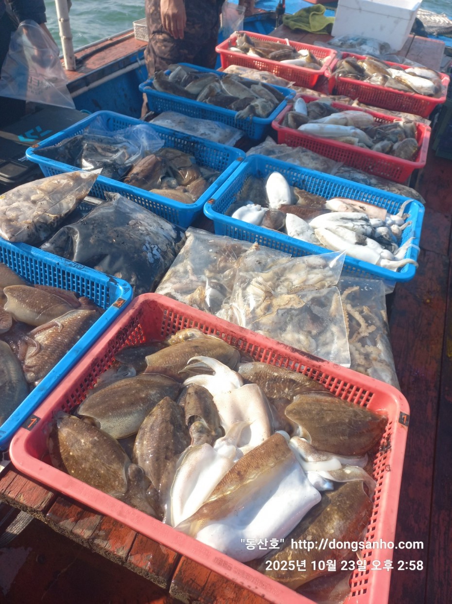 2b5fc026377d1b89d7da918e49d58af9_1761241