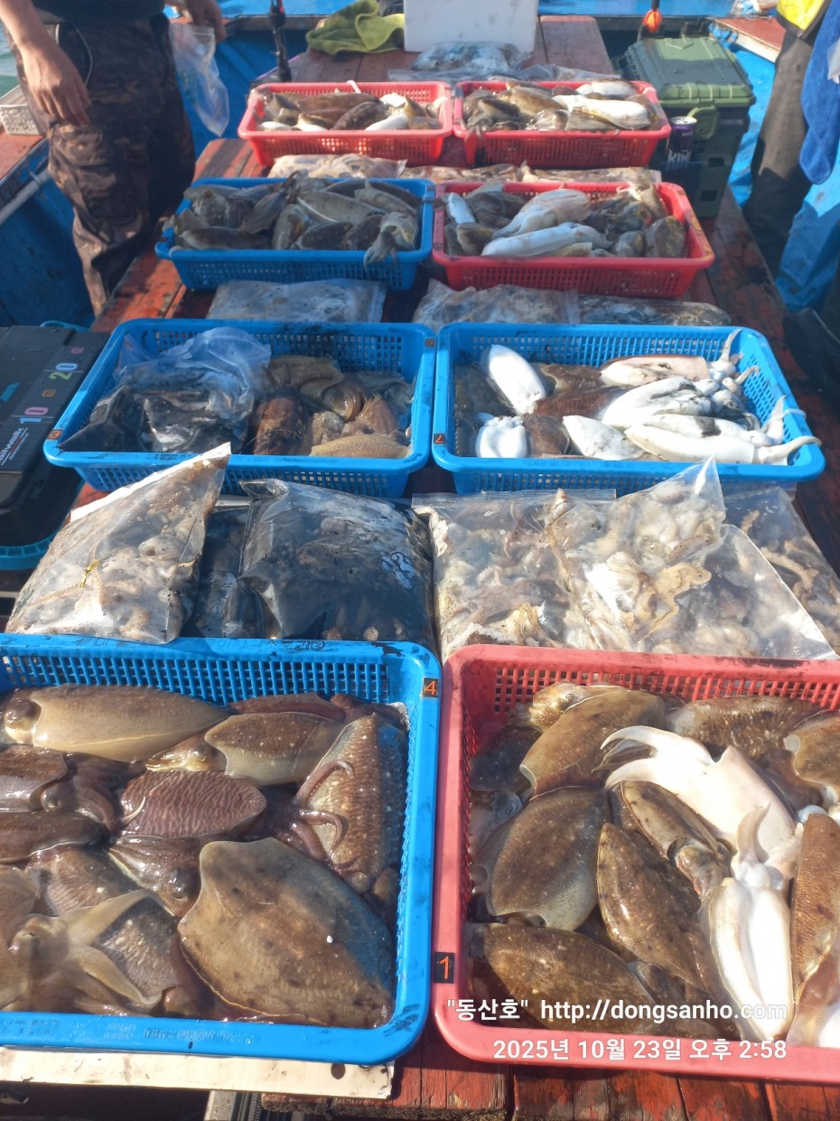 2b5fc026377d1b89d7da918e49d58af9_1761241