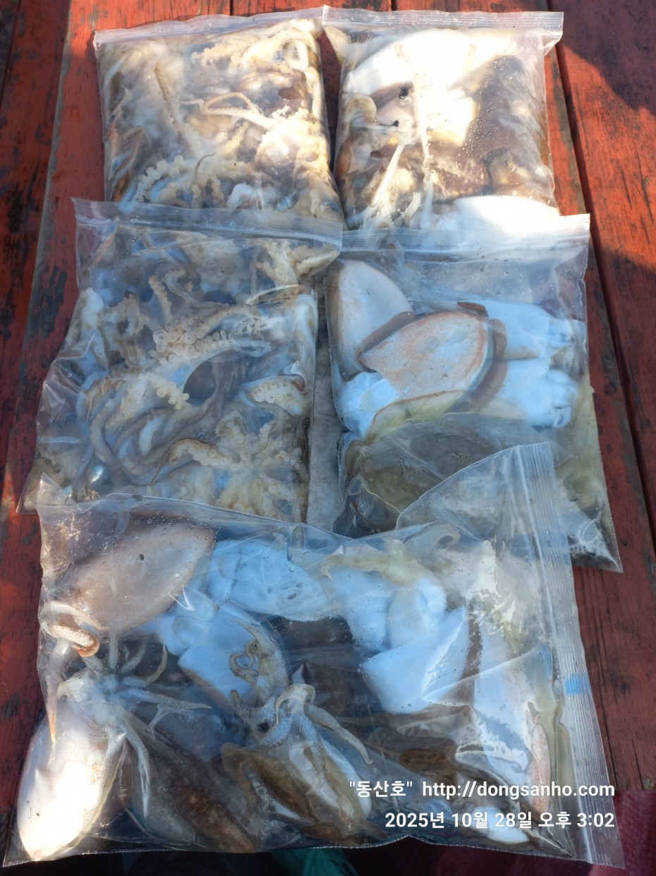 52a01e3ee9511b8561b8eb510a03d07b_1761664