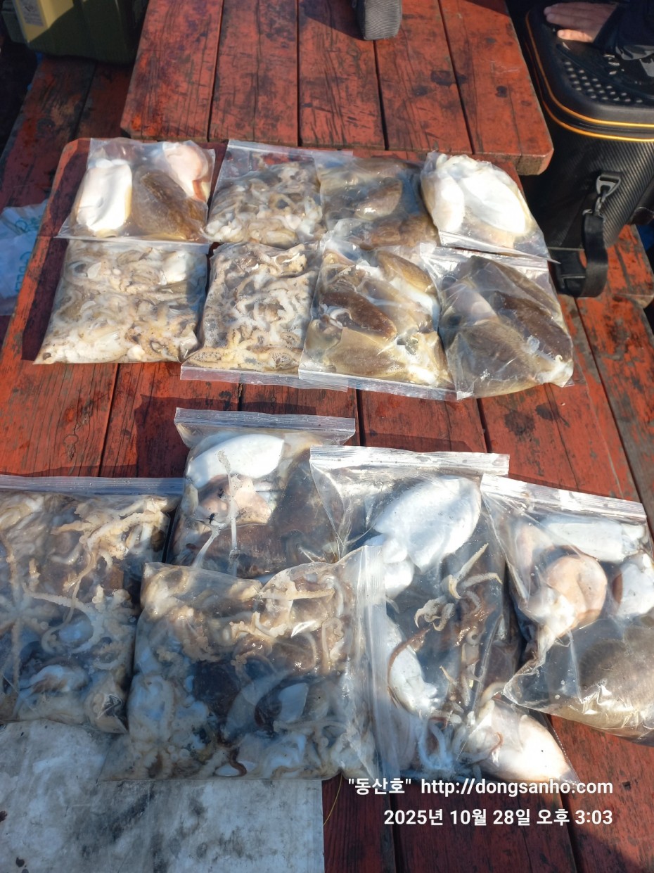 52a01e3ee9511b8561b8eb510a03d07b_1761664