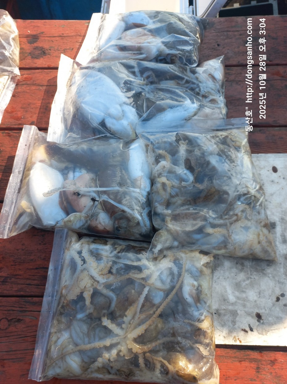 52a01e3ee9511b8561b8eb510a03d07b_1761664