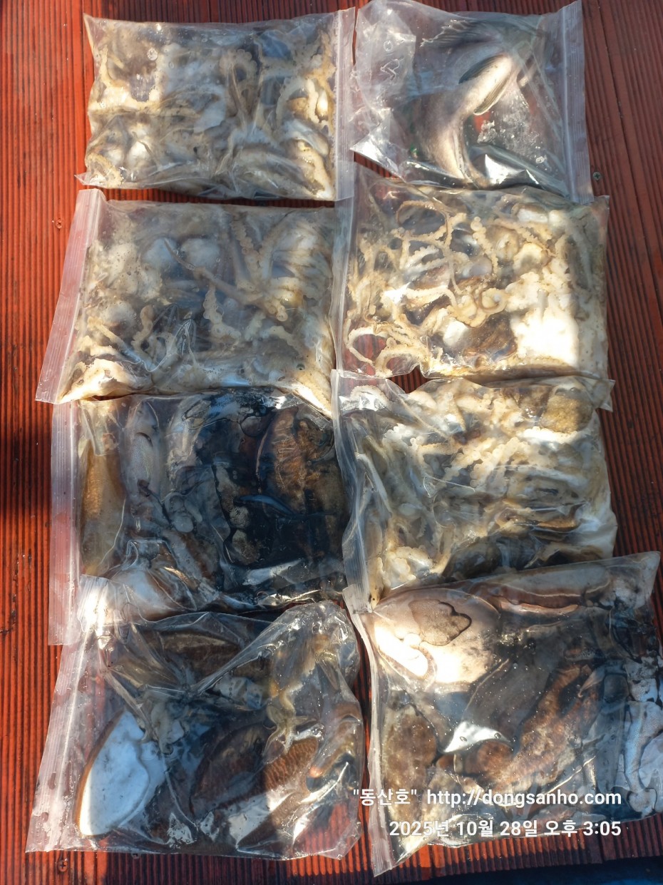 52a01e3ee9511b8561b8eb510a03d07b_1761664