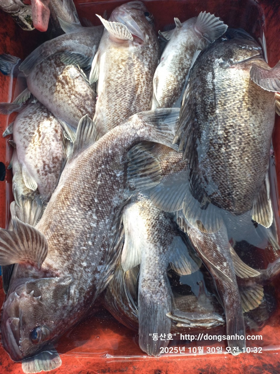 7d30dcb03b45fb1b44cff8fb69eace37_1761841