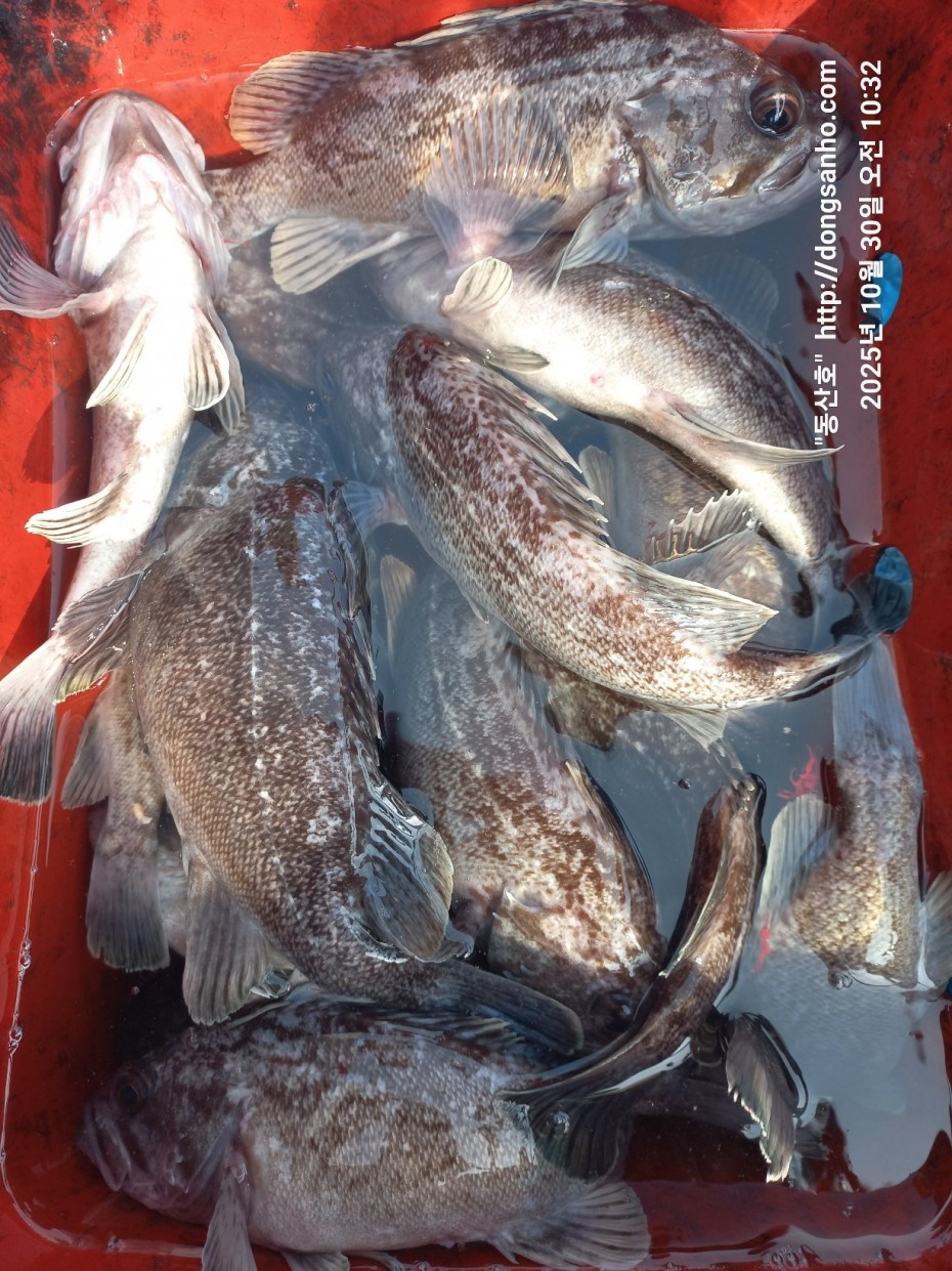 7d30dcb03b45fb1b44cff8fb69eace37_1761841