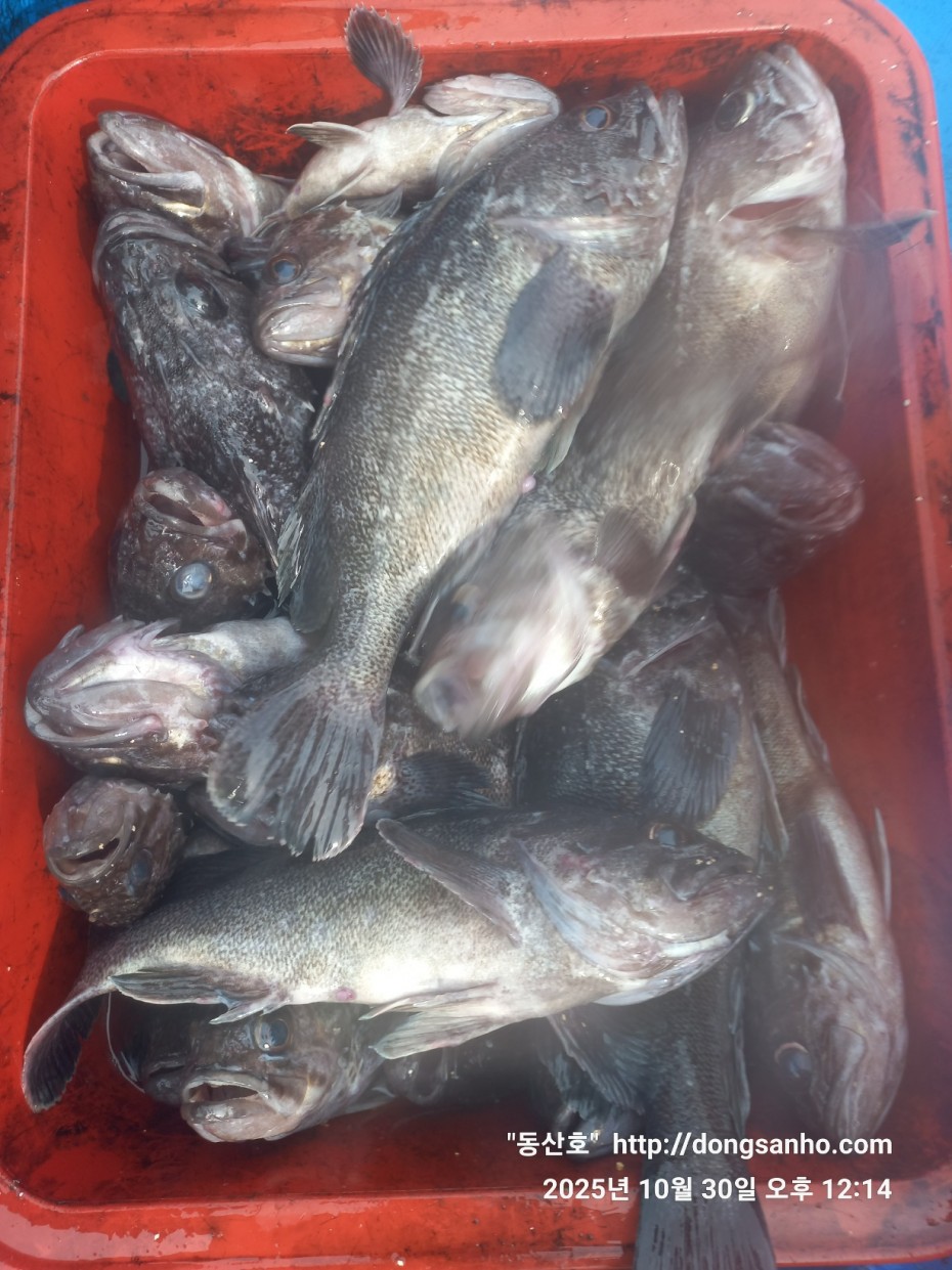 7d30dcb03b45fb1b44cff8fb69eace37_1761841