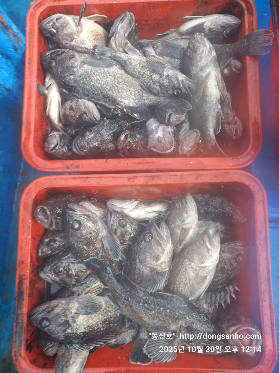 7d30dcb03b45fb1b44cff8fb69eace37_1761841