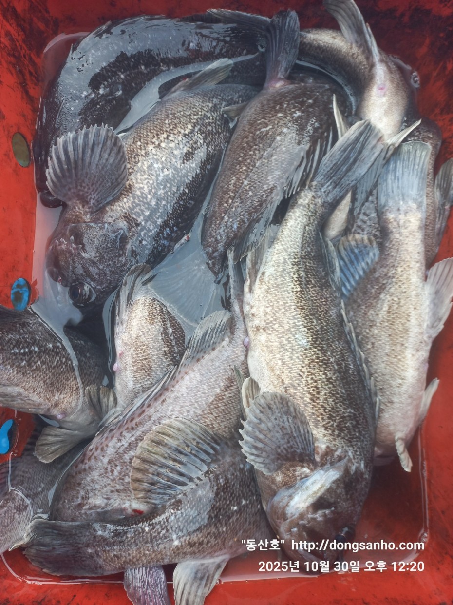 7d30dcb03b45fb1b44cff8fb69eace37_1761841