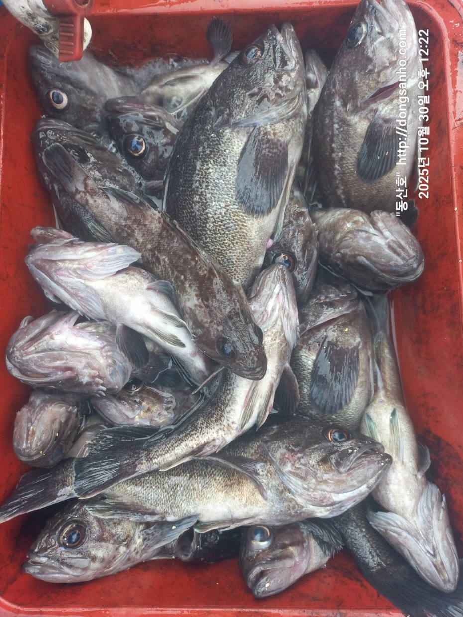 7d30dcb03b45fb1b44cff8fb69eace37_1761841