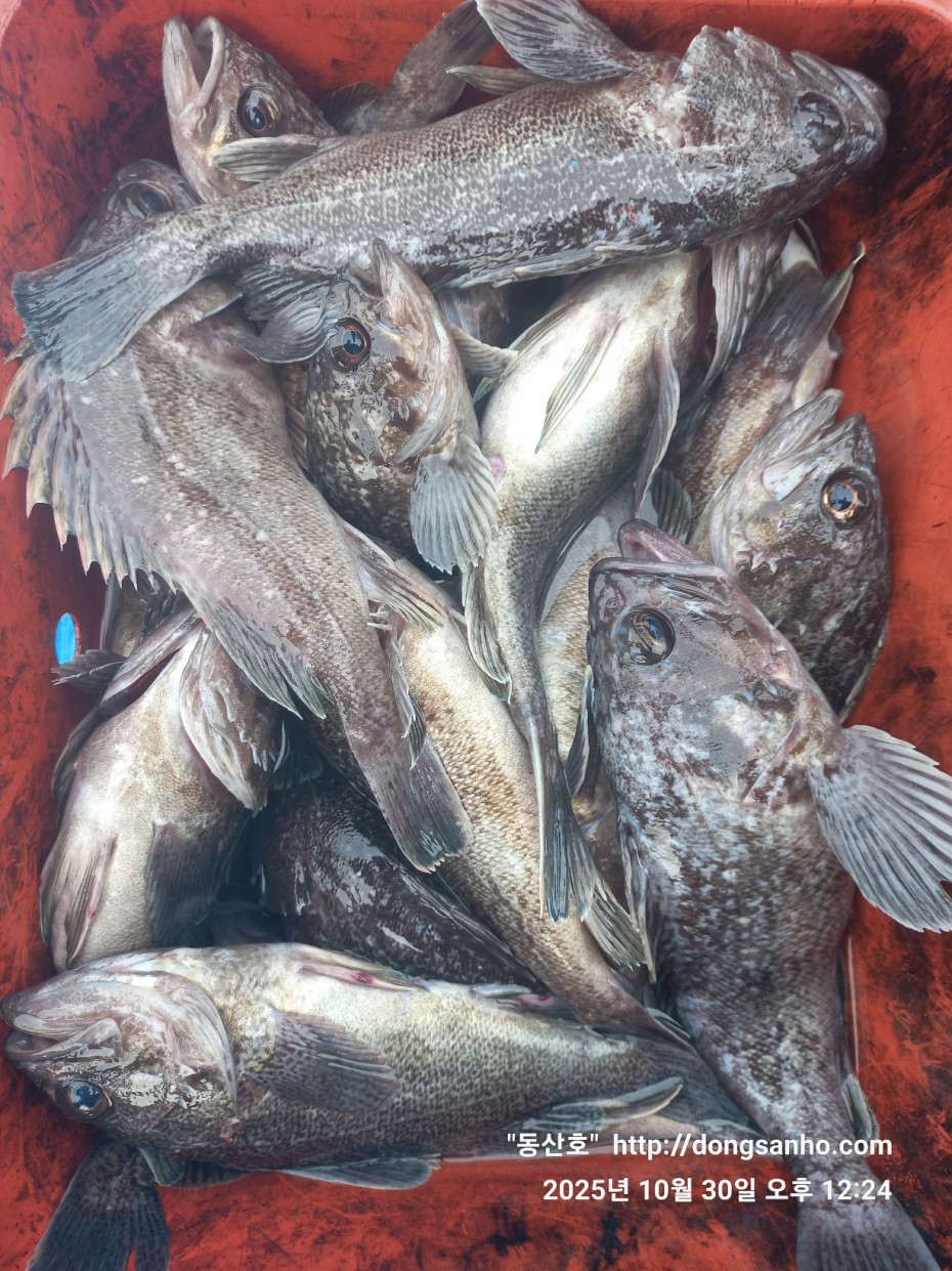 7d30dcb03b45fb1b44cff8fb69eace37_1761841