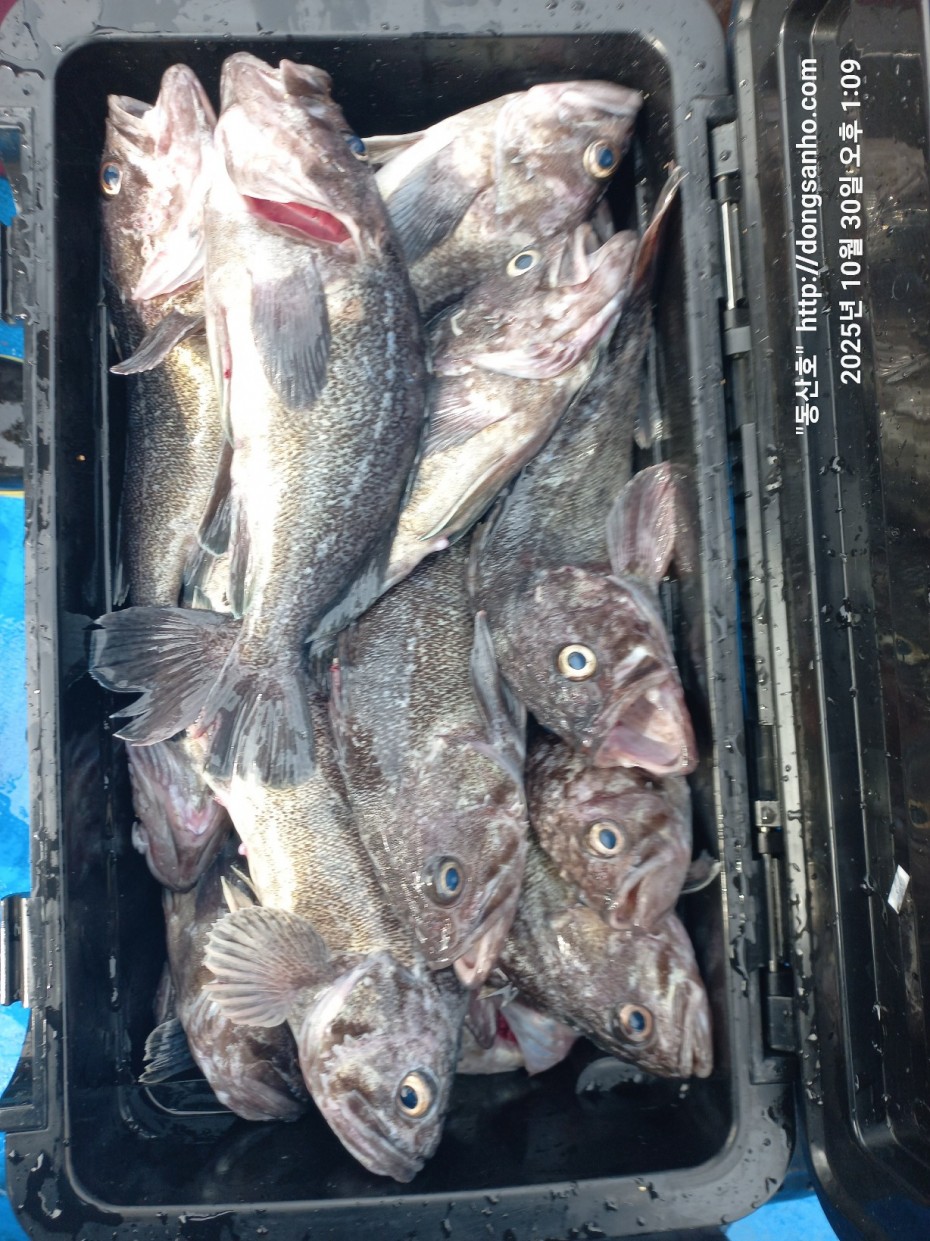 7d30dcb03b45fb1b44cff8fb69eace37_1761841