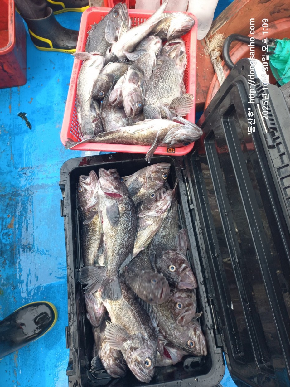 7d30dcb03b45fb1b44cff8fb69eace37_1761841