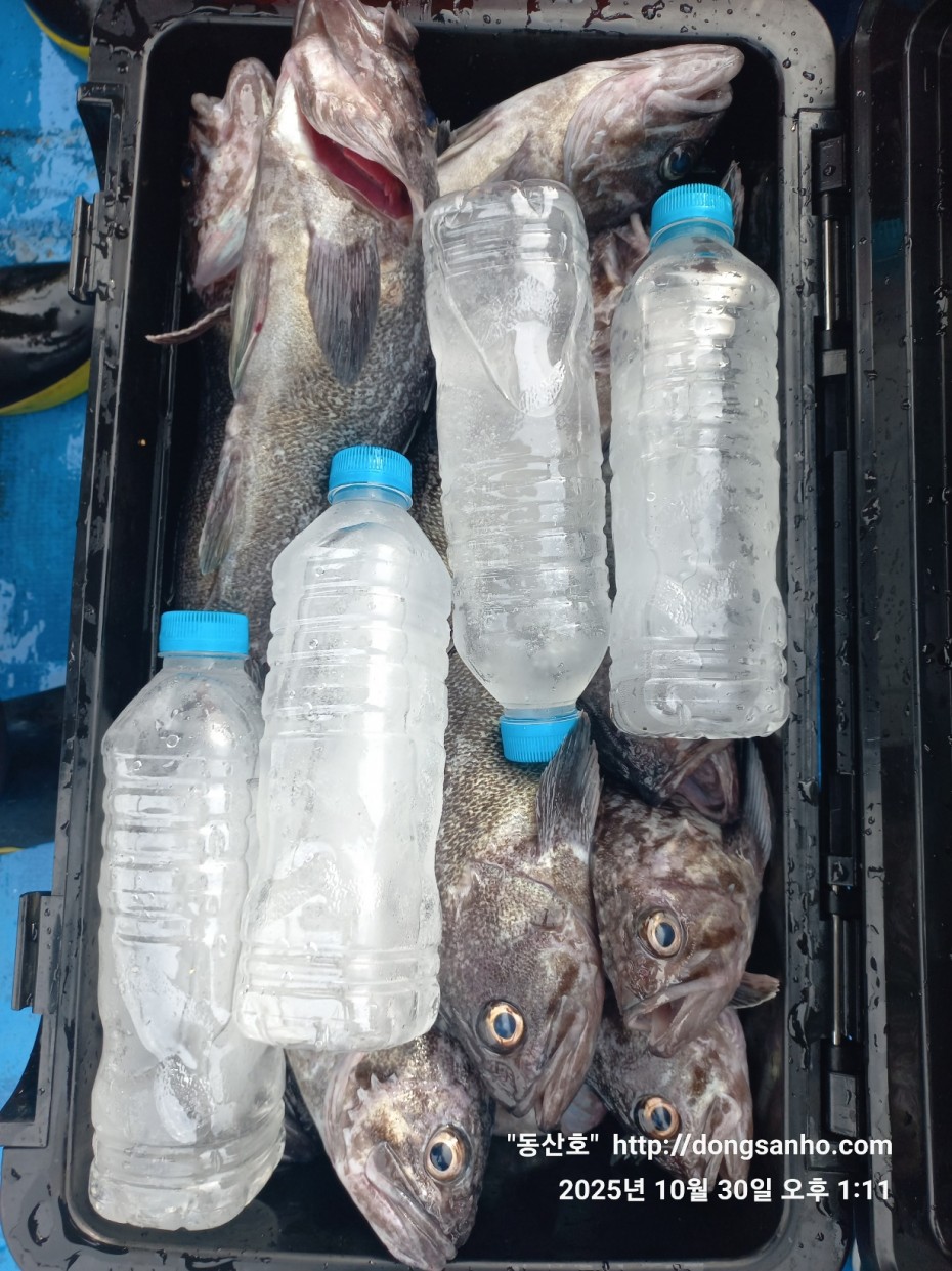 7d30dcb03b45fb1b44cff8fb69eace37_1761841