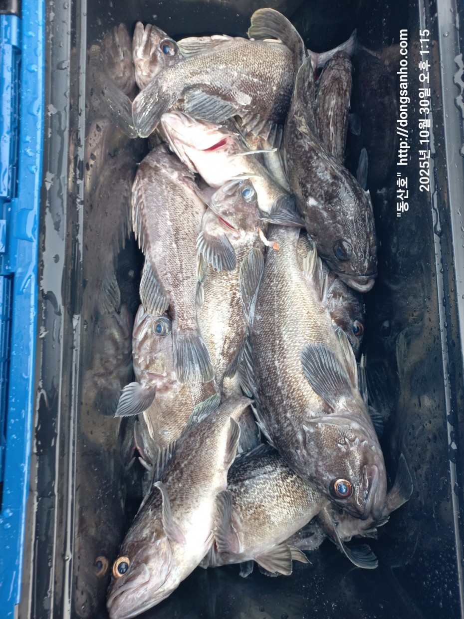 7d30dcb03b45fb1b44cff8fb69eace37_1761841