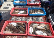 10/19 쭈갑낚시…