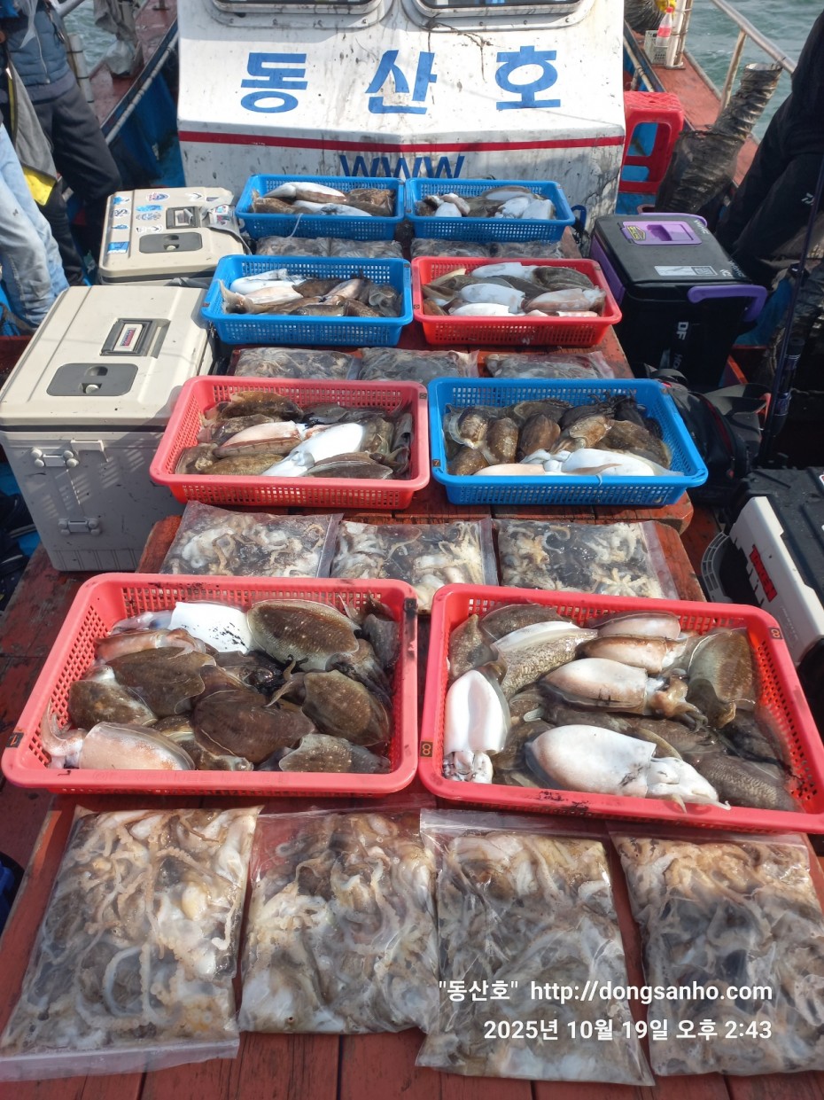 e8e87ccb3662a4b31b640fc13bb6269a_1760945