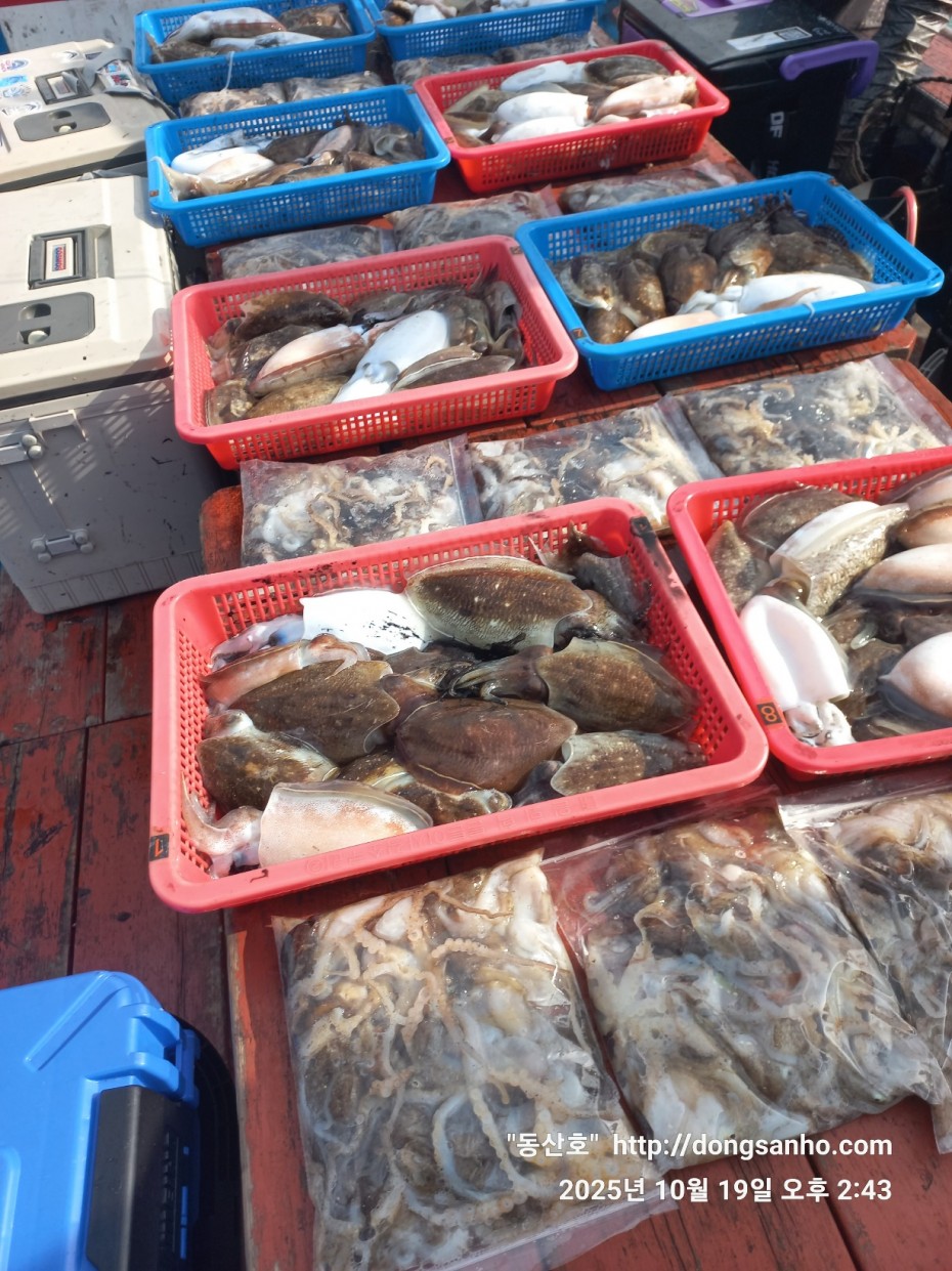 e8e87ccb3662a4b31b640fc13bb6269a_1760945