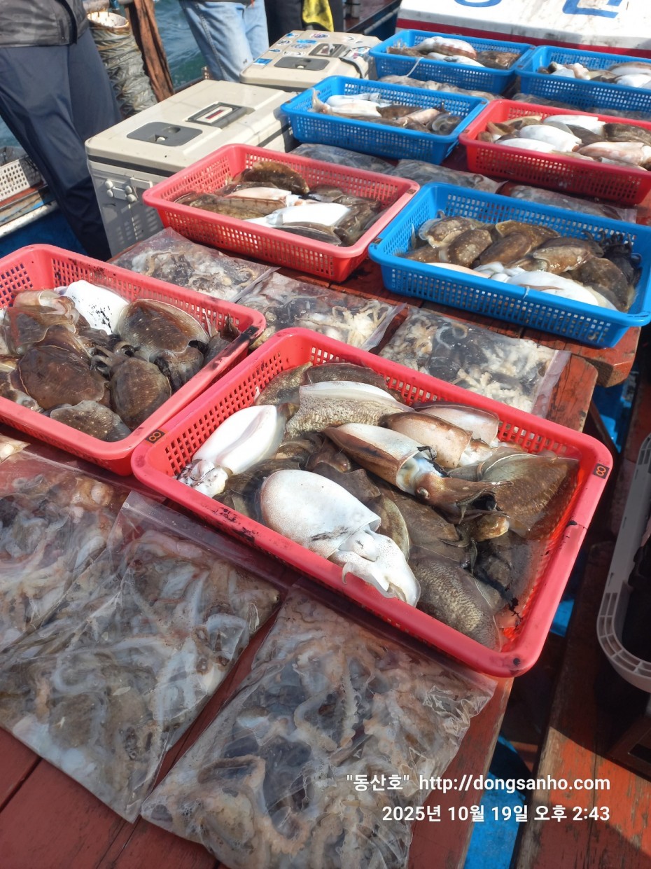 e8e87ccb3662a4b31b640fc13bb6269a_1760945