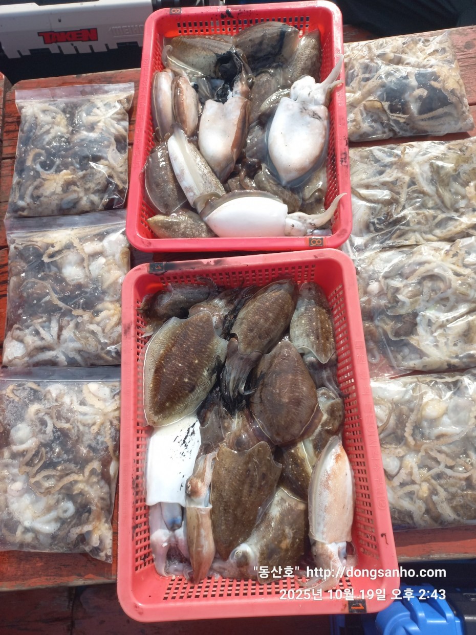 e8e87ccb3662a4b31b640fc13bb6269a_1760945