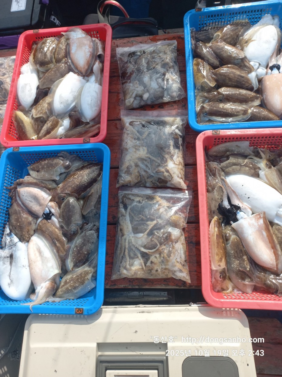 e8e87ccb3662a4b31b640fc13bb6269a_1760945