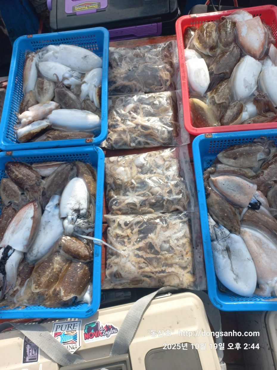 e8e87ccb3662a4b31b640fc13bb6269a_1760945