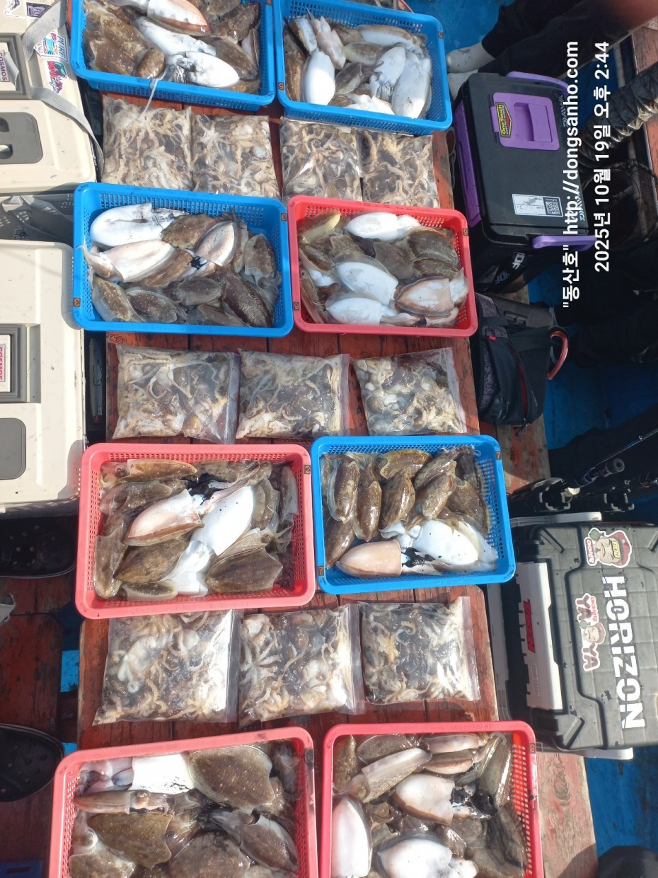 e8e87ccb3662a4b31b640fc13bb6269a_1760945