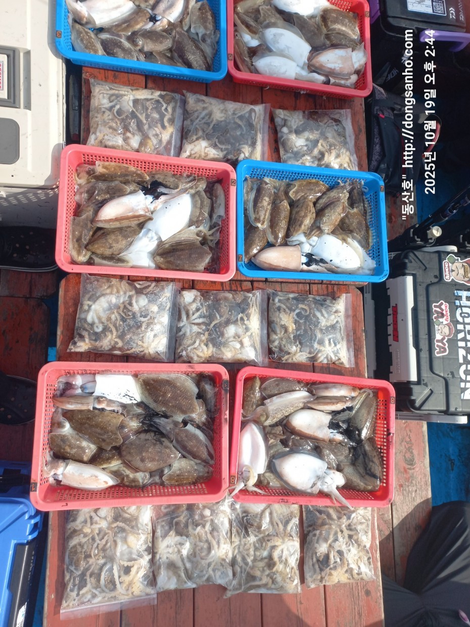 e8e87ccb3662a4b31b640fc13bb6269a_1760945