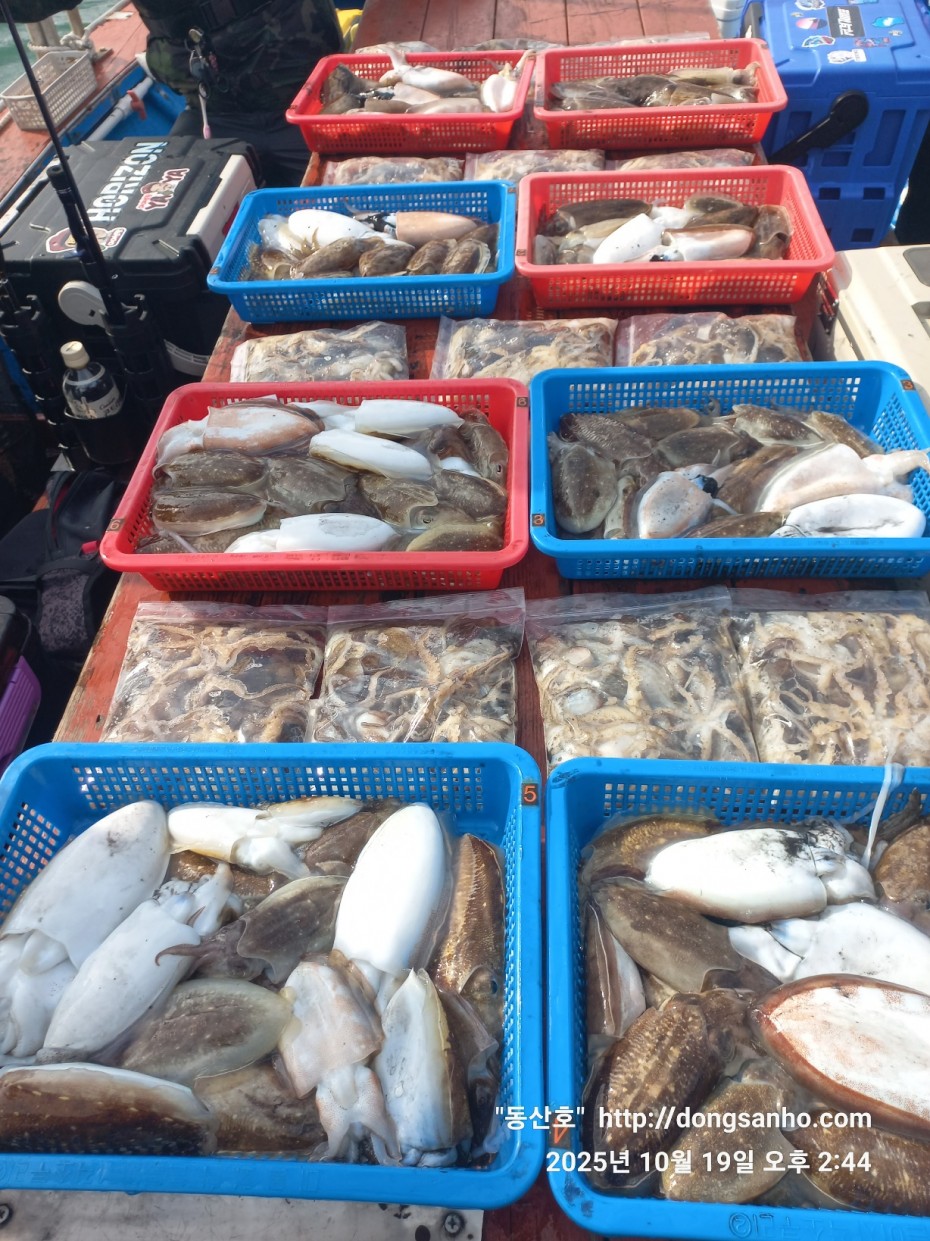 e8e87ccb3662a4b31b640fc13bb6269a_1760945