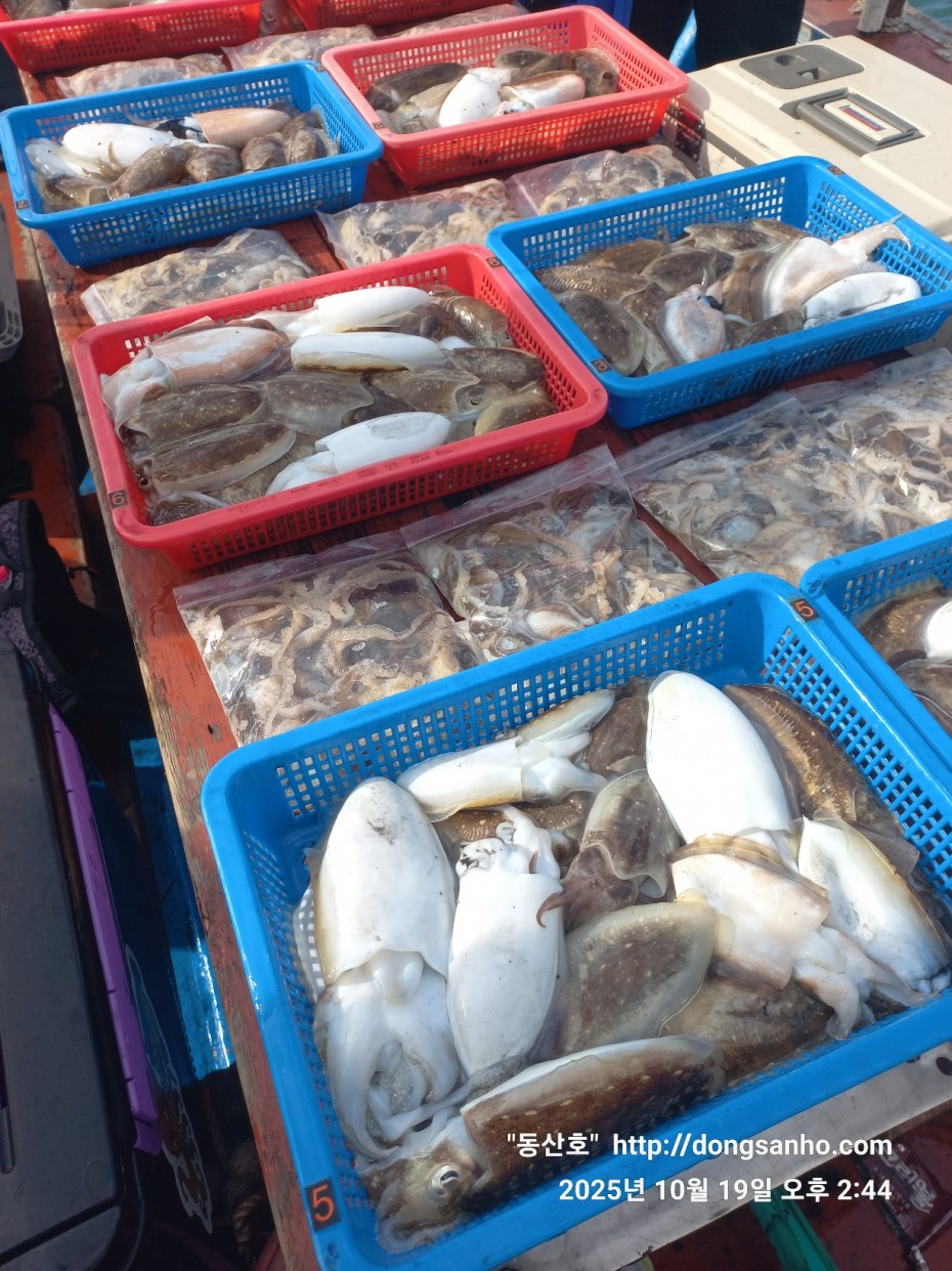 e8e87ccb3662a4b31b640fc13bb6269a_1760945