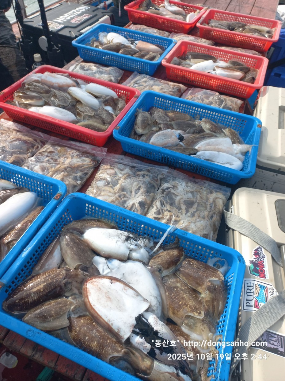 e8e87ccb3662a4b31b640fc13bb6269a_1760945