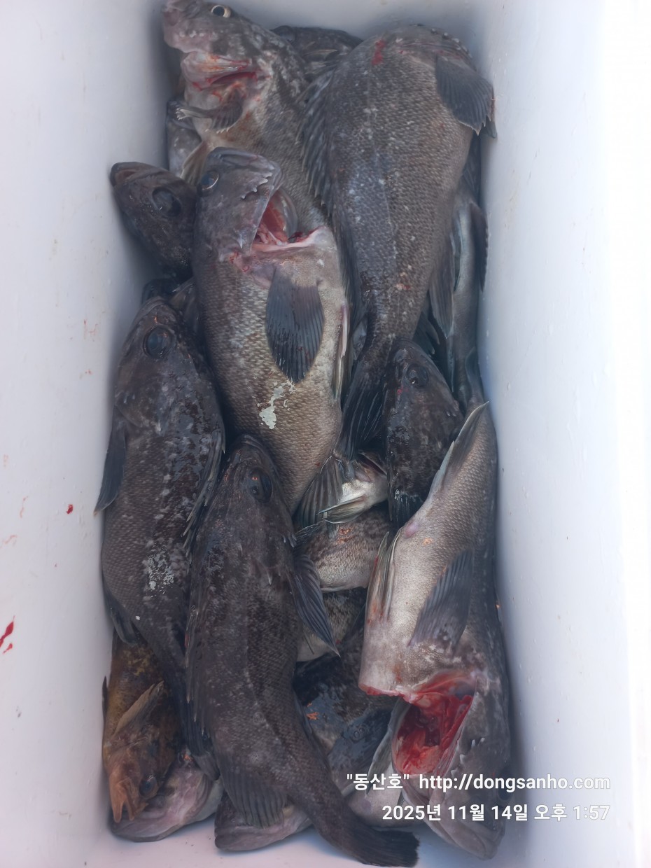 672248b6a83ed541a2eda19a216dbdf9_1763143