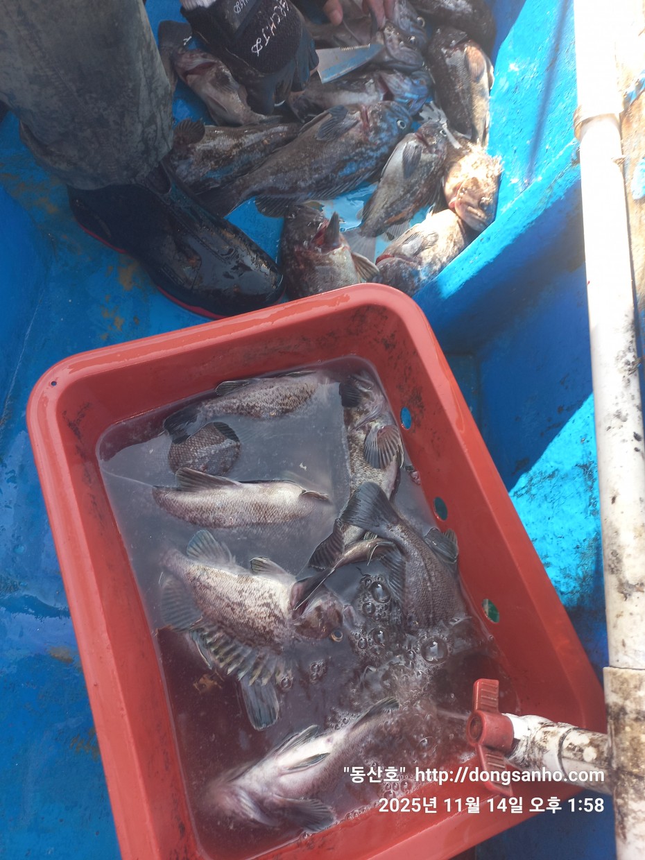 672248b6a83ed541a2eda19a216dbdf9_1763143