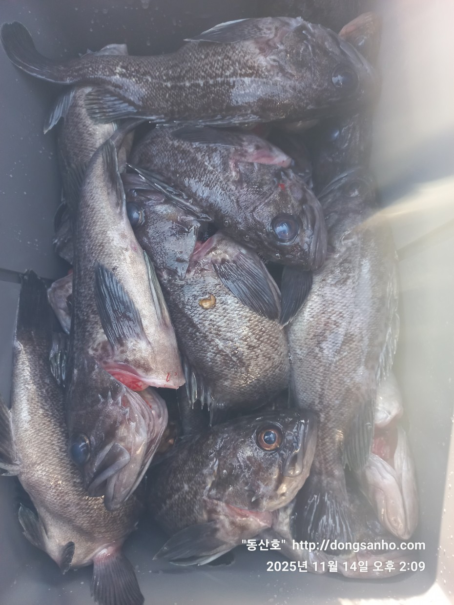 672248b6a83ed541a2eda19a216dbdf9_1763143