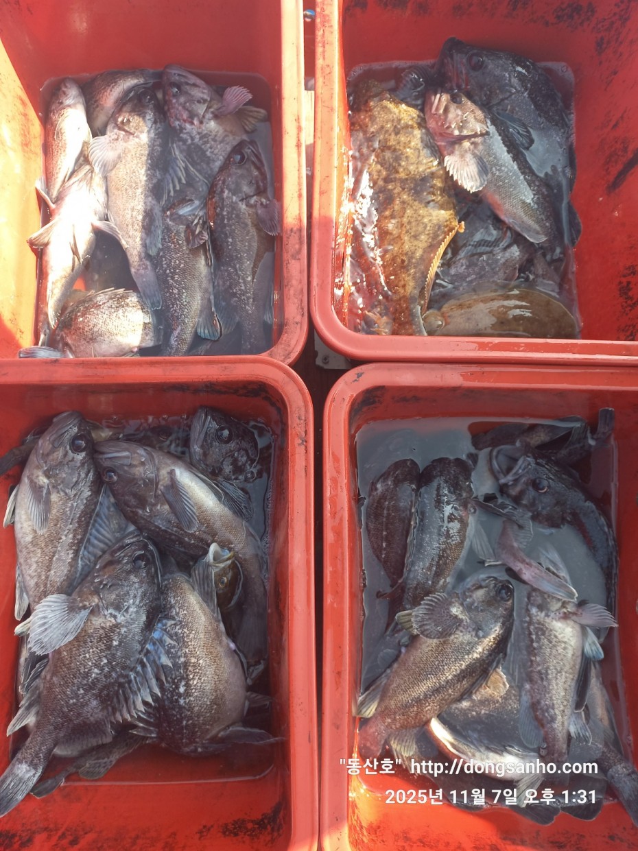 9221d1a988ae5593a7bdbc39289097b4_1762544