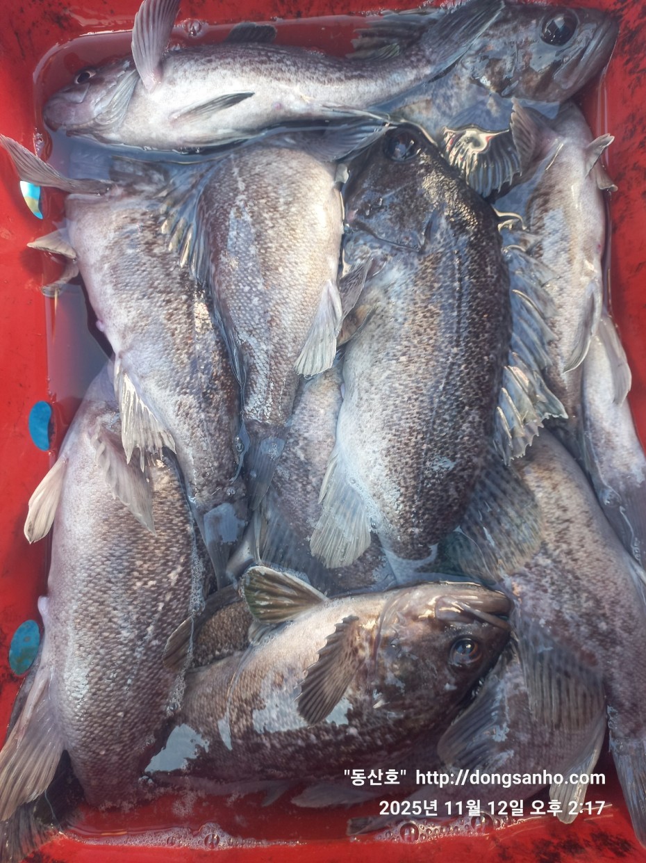 92c452c58eeac18ef7f956f80bad05e6_1762968