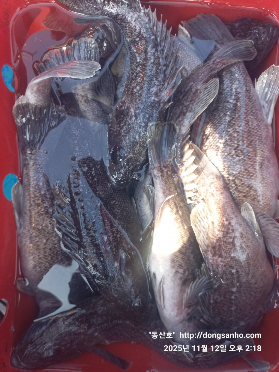 92c452c58eeac18ef7f956f80bad05e6_1762968