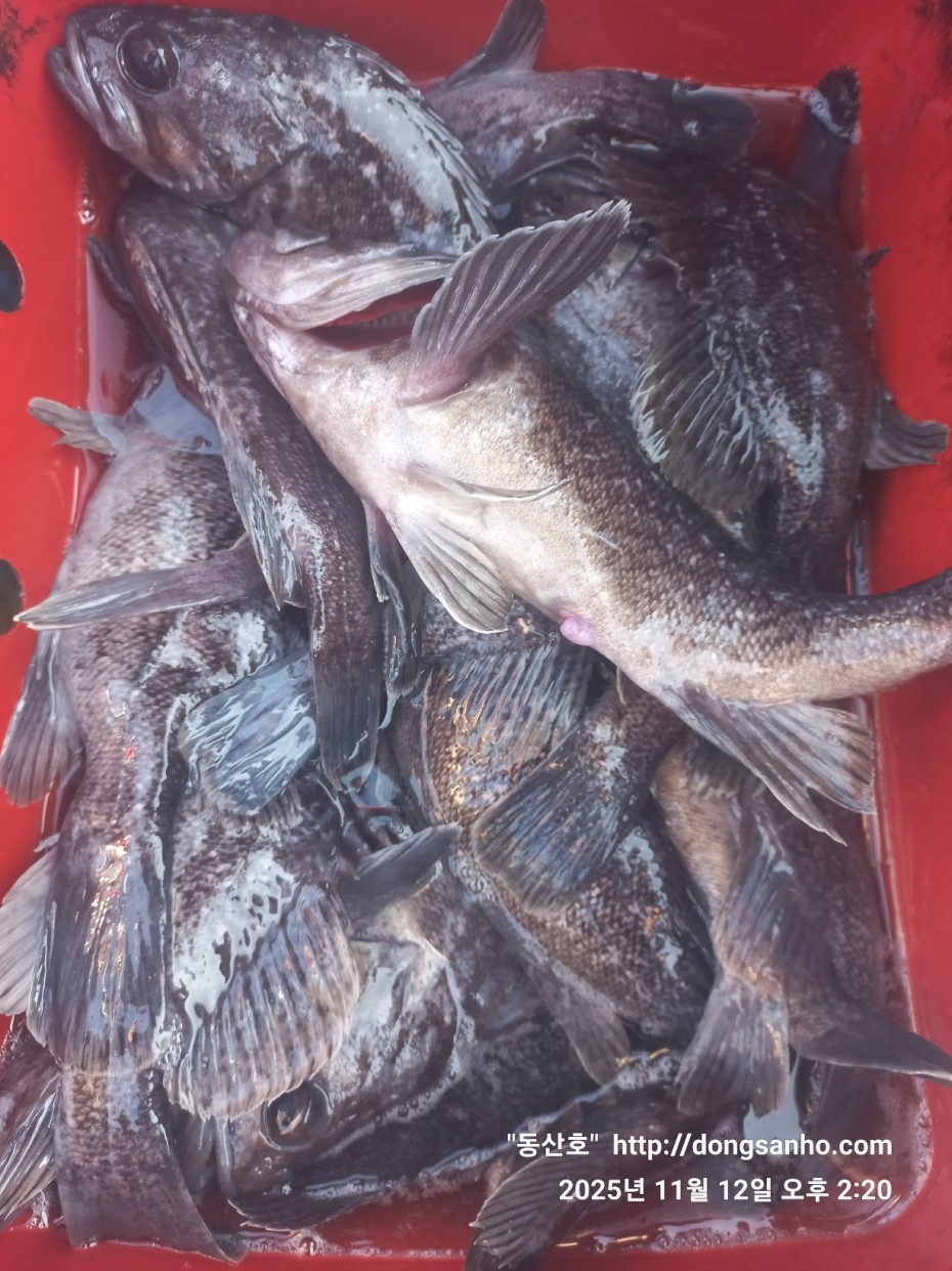 92c452c58eeac18ef7f956f80bad05e6_1762968