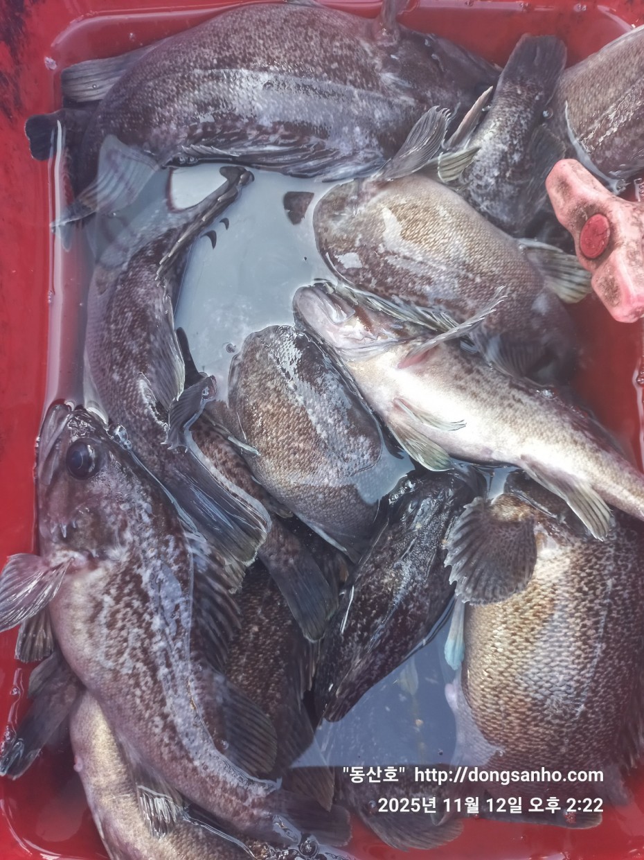 92c452c58eeac18ef7f956f80bad05e6_1762968