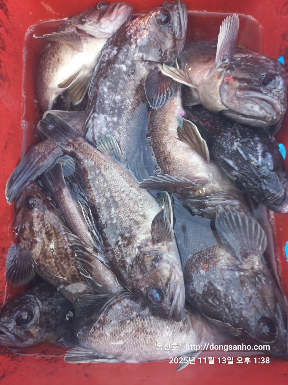 92c452c58eeac18ef7f956f80bad05e6_1763052