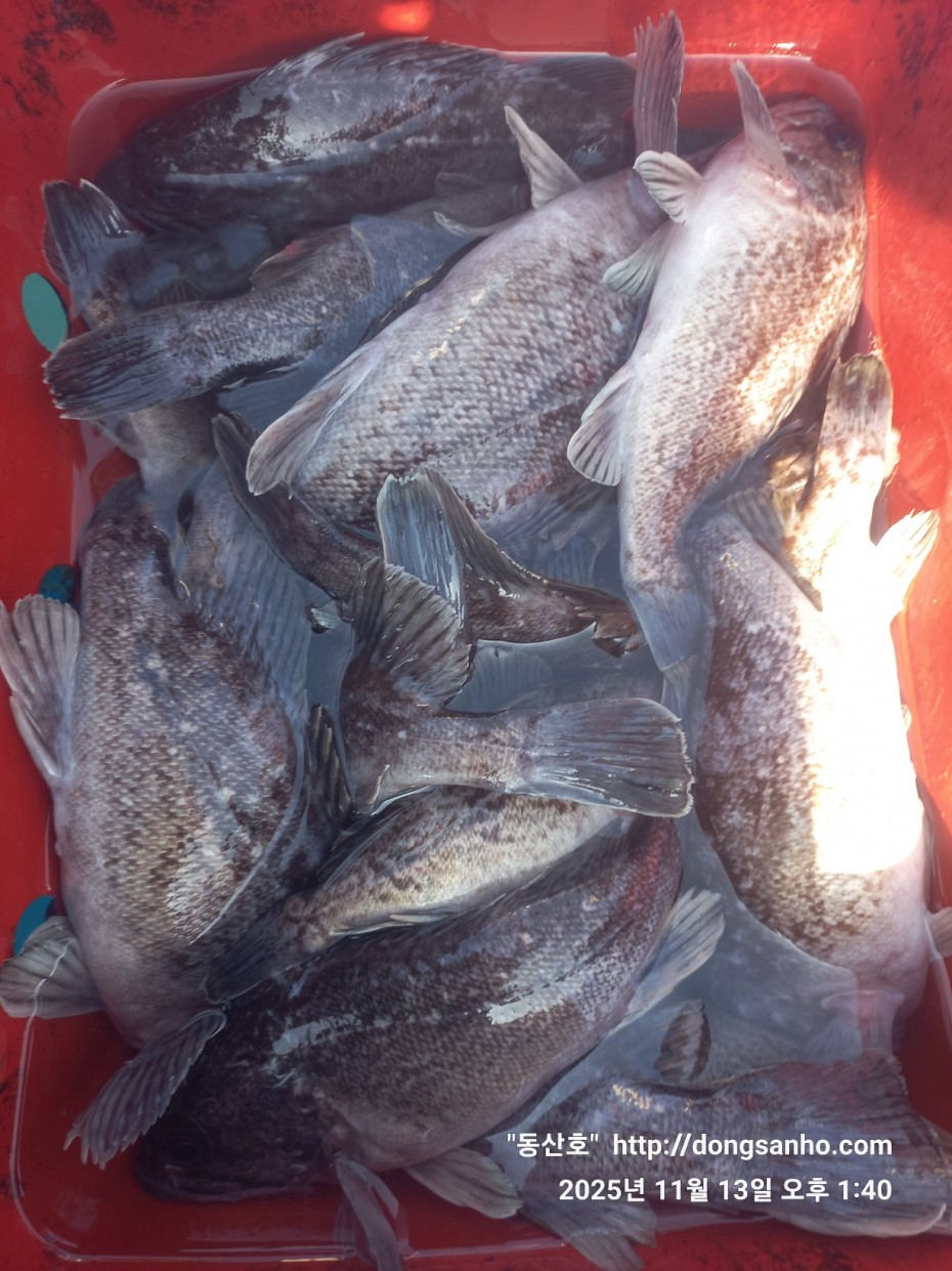 92c452c58eeac18ef7f956f80bad05e6_1763052