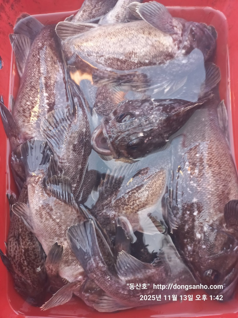 92c452c58eeac18ef7f956f80bad05e6_1763052