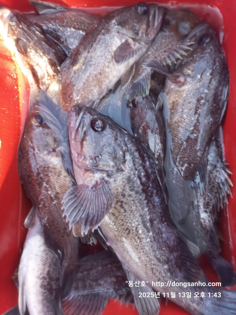 92c452c58eeac18ef7f956f80bad05e6_1763052